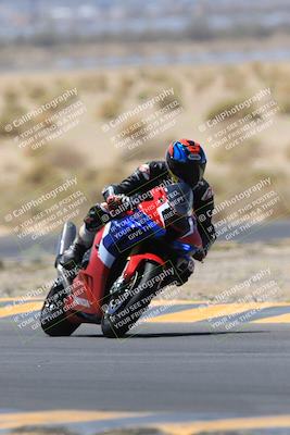 media/May-14-2023-SoCal Trackdays (Sun) [[024eb53b40]]/Turn 5 Tree of Life (1125am)/